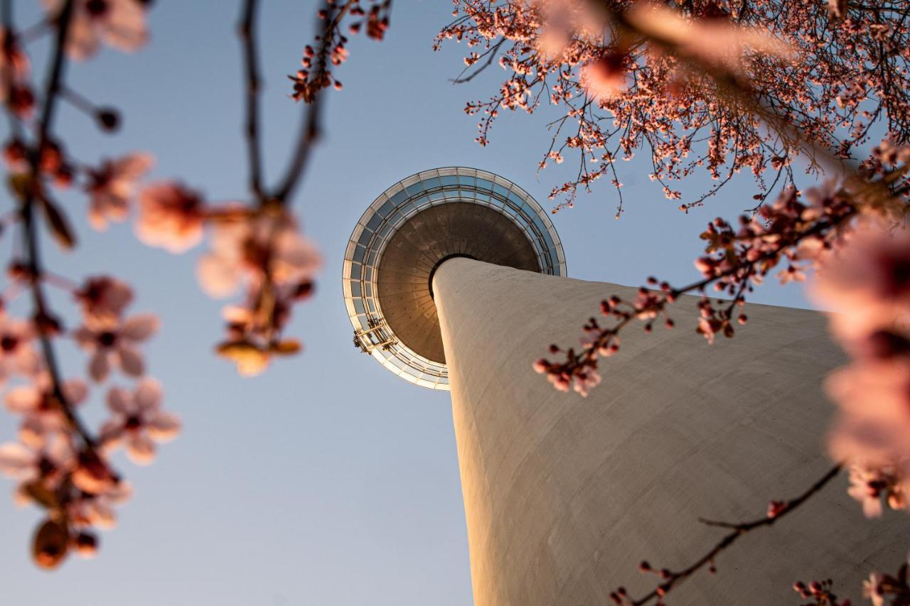 Hostel Mannheim Luaran gambar The top of the tower